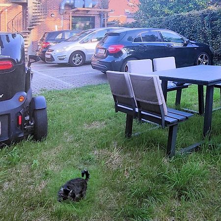 Logeerkamer Xxl 25 M2 Zemst Luaran gambar